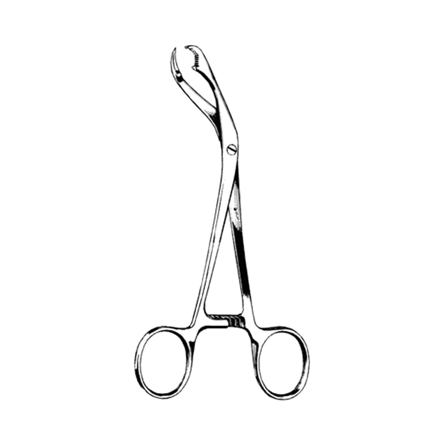 Sklar Verbrugge Bone Holding Forceps