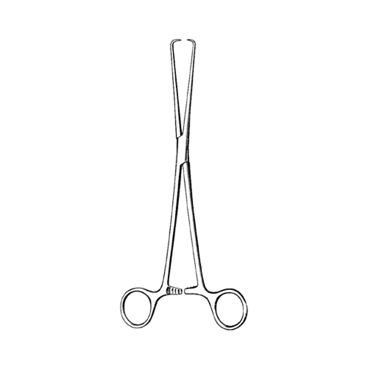 Sklar Surgi-OR Schroeder Tenaculum Forceps