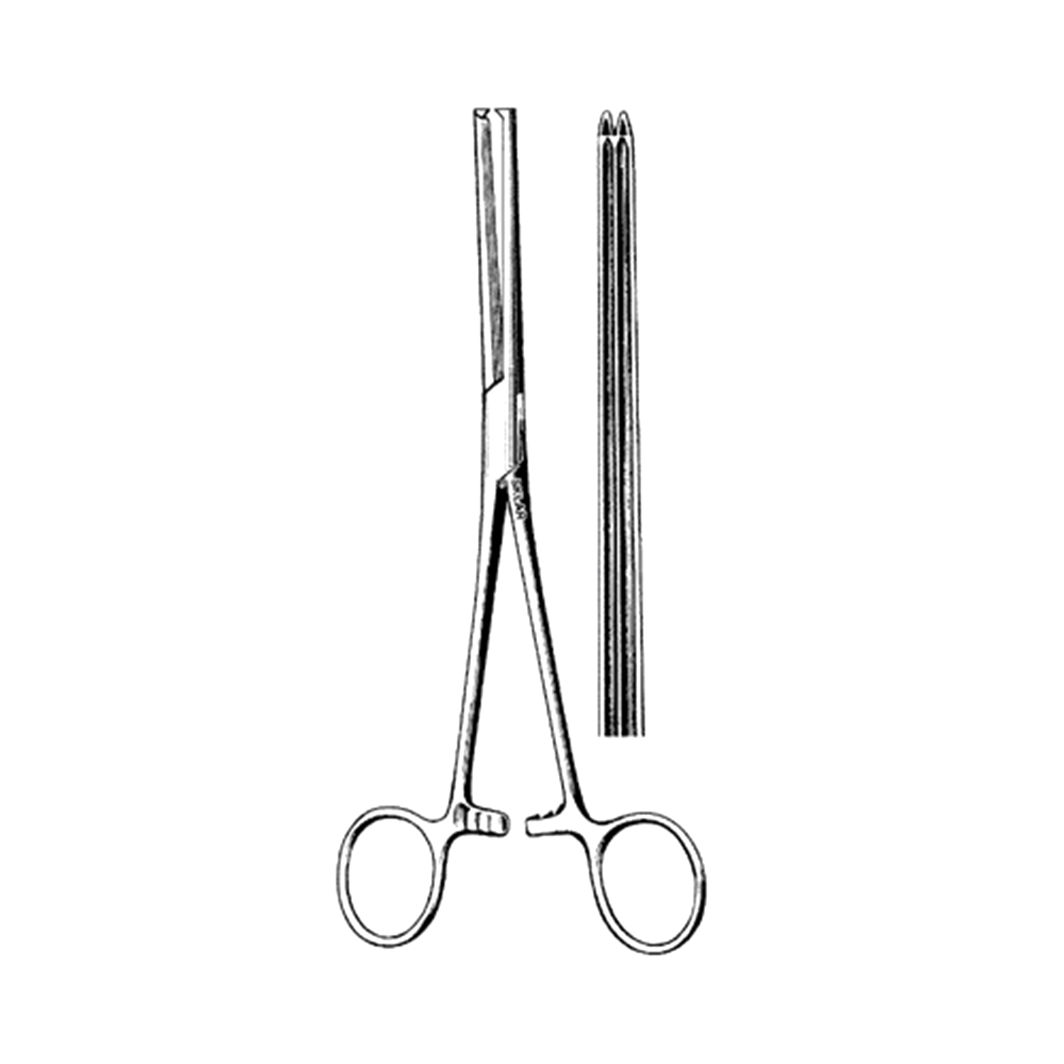 Sklar Allen Intestinal Forceps