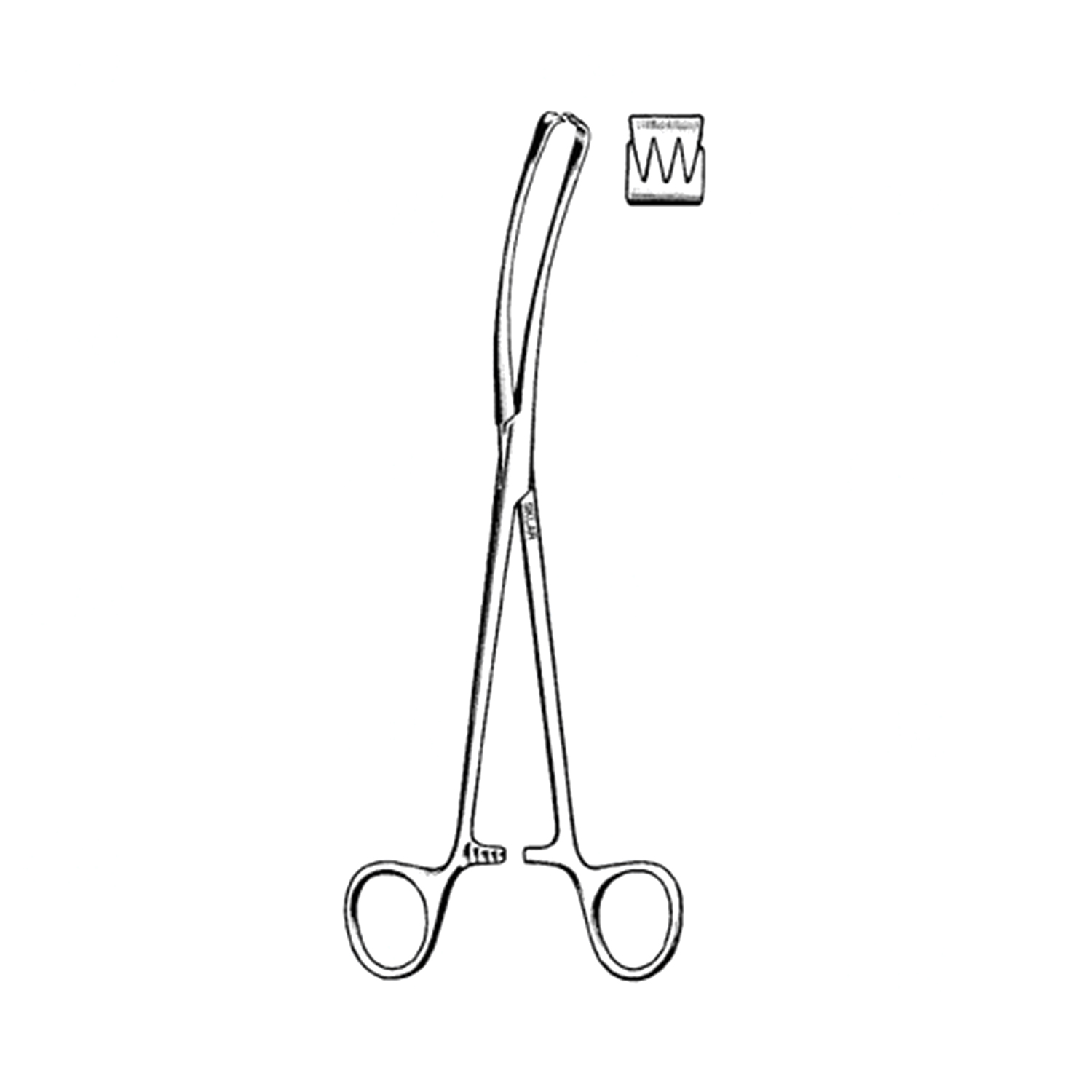 Sklar Teale Vulsellum Forceps