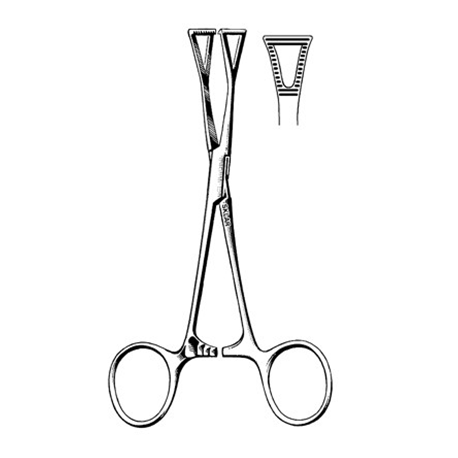 Sklar Collin-Duval Forceps