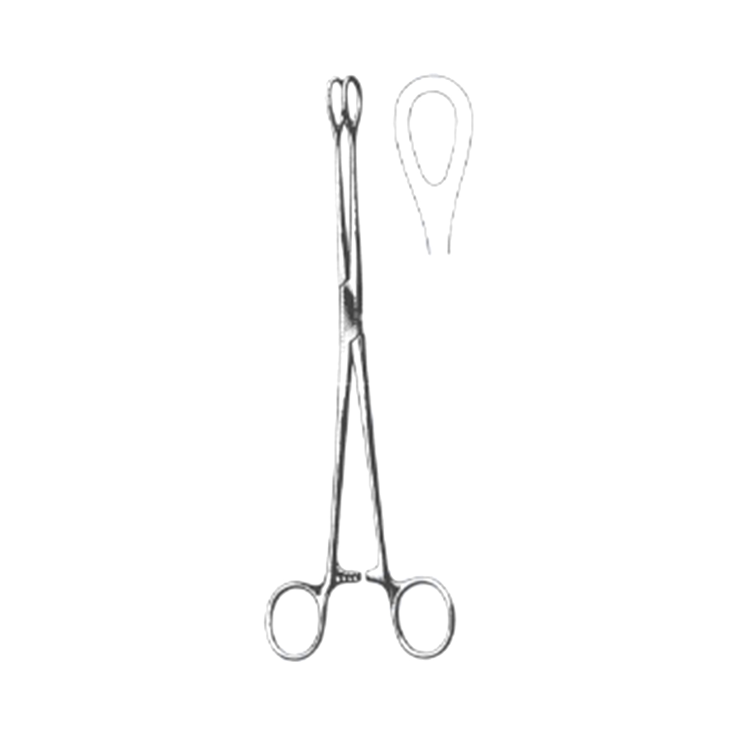 Marina Medical Foerster Sponge Forceps