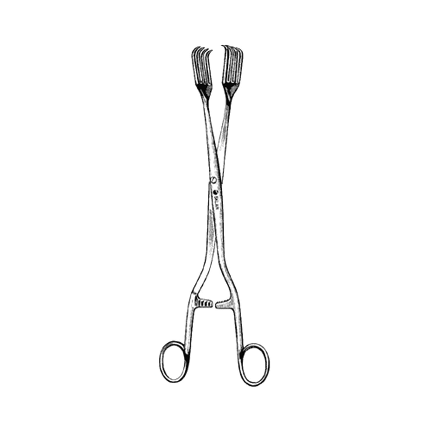 Sklar Billroth Forceps