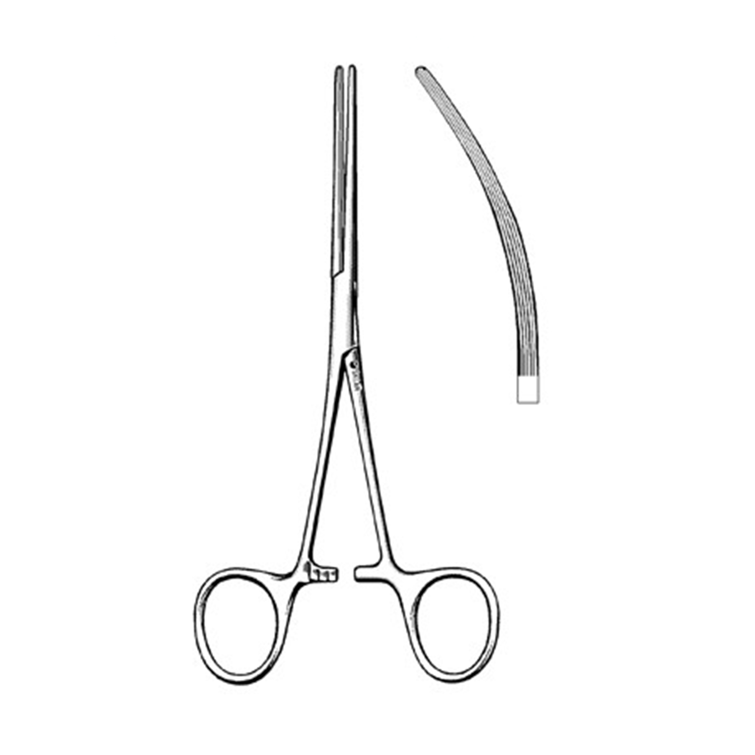 Sklar Bainbridge Thyroid Forceps