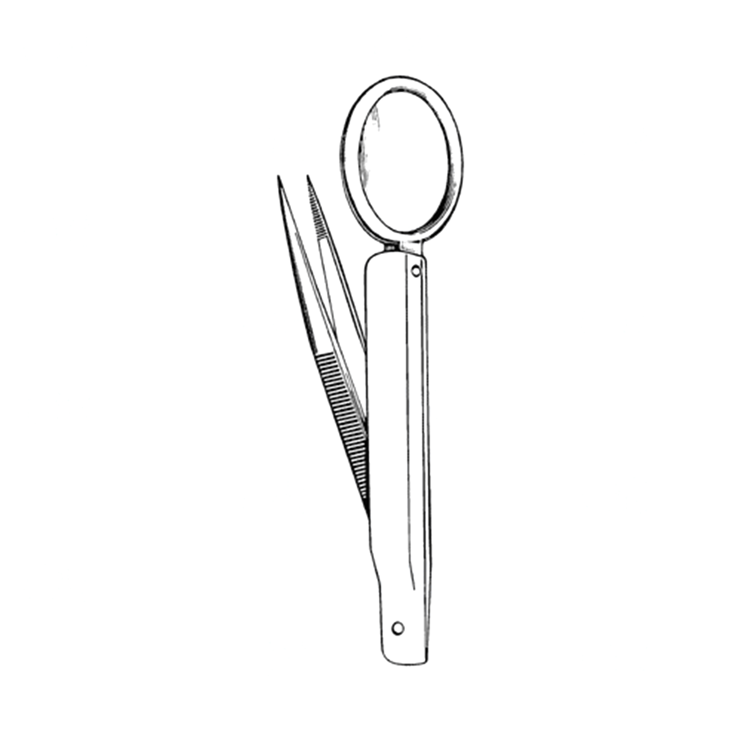 Sklar Econo Splinter Forceps (Box of 12)