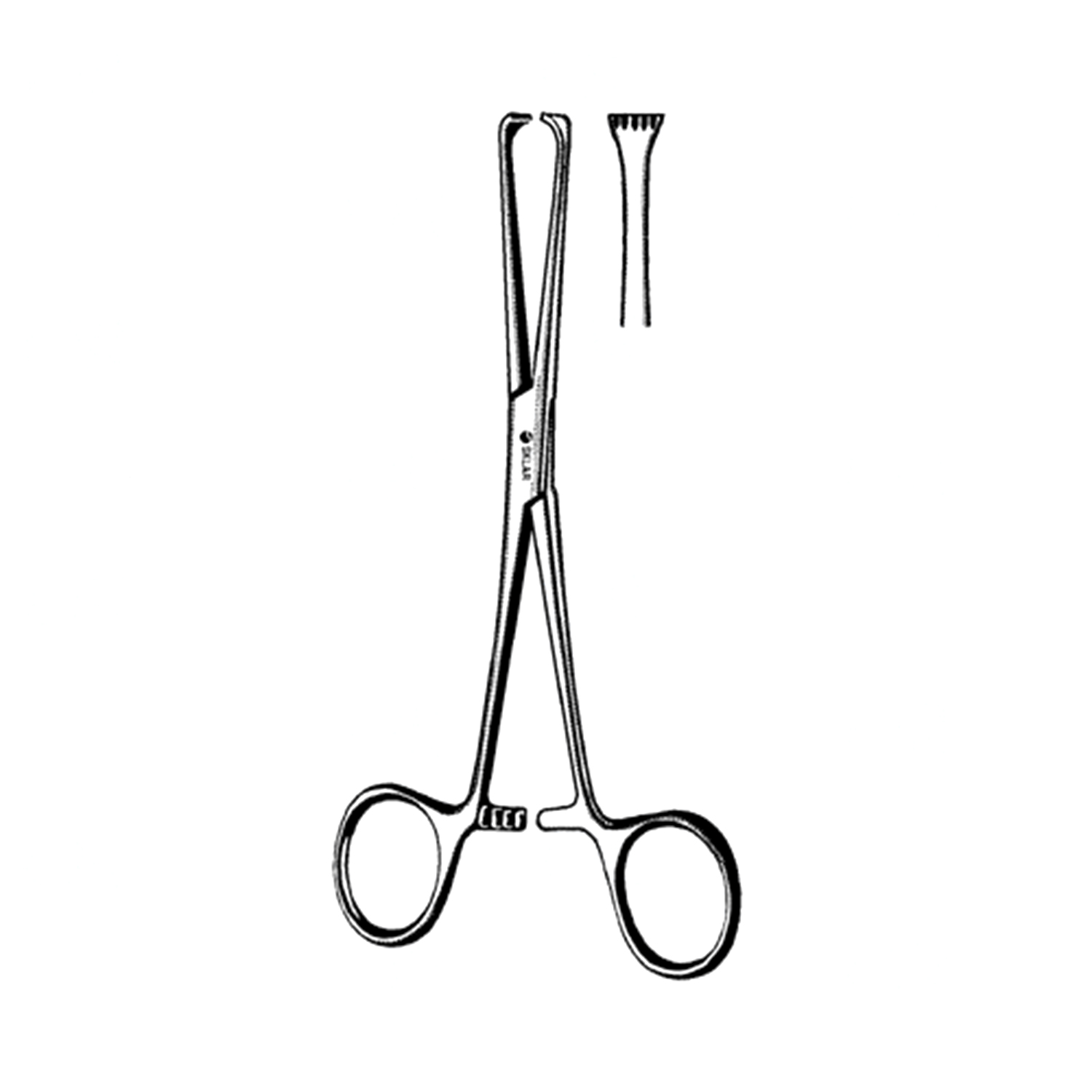 Sklar Boys-Allis Tissue Forceps