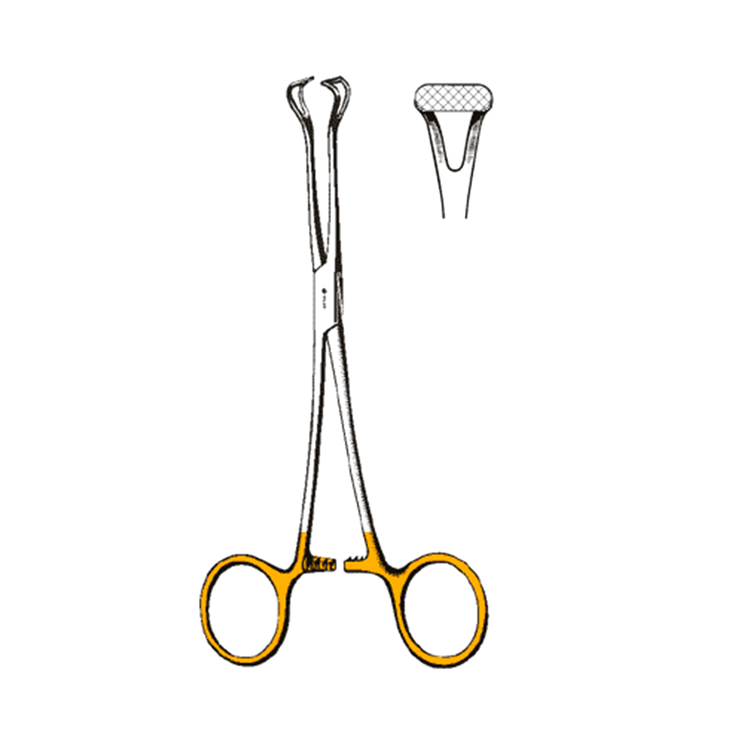 Sklar TC Babcock Forceps