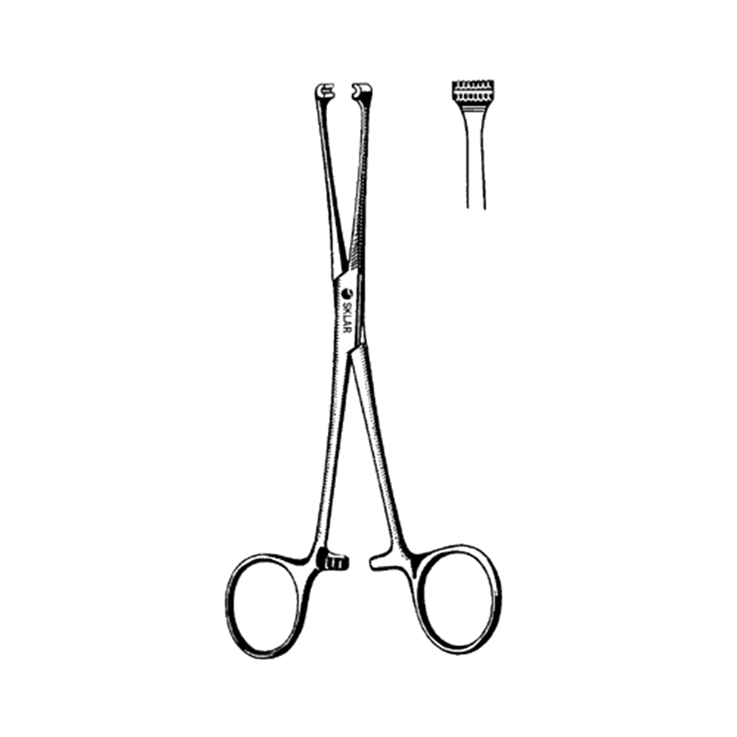 Sklar Allis Forceps