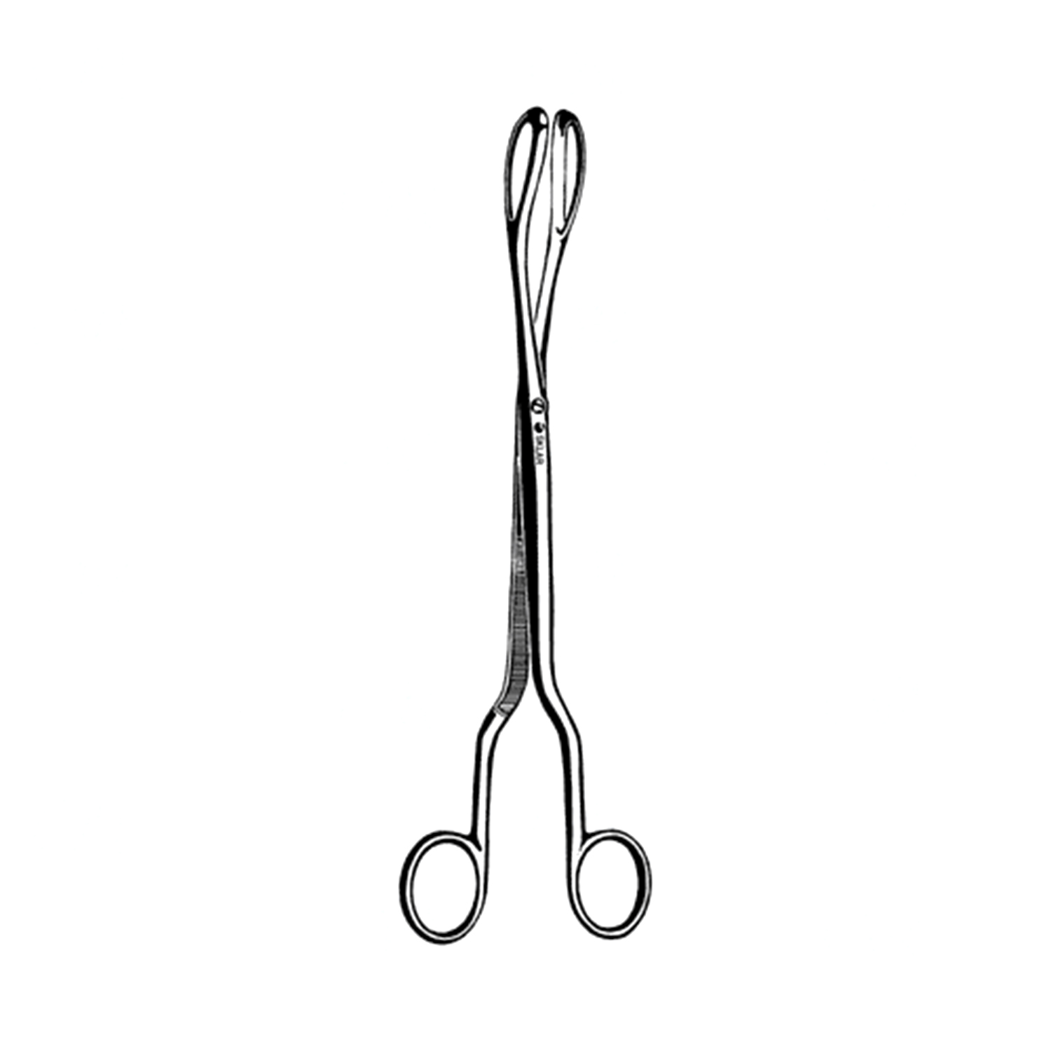 Sklar Barrett Placenta Forceps