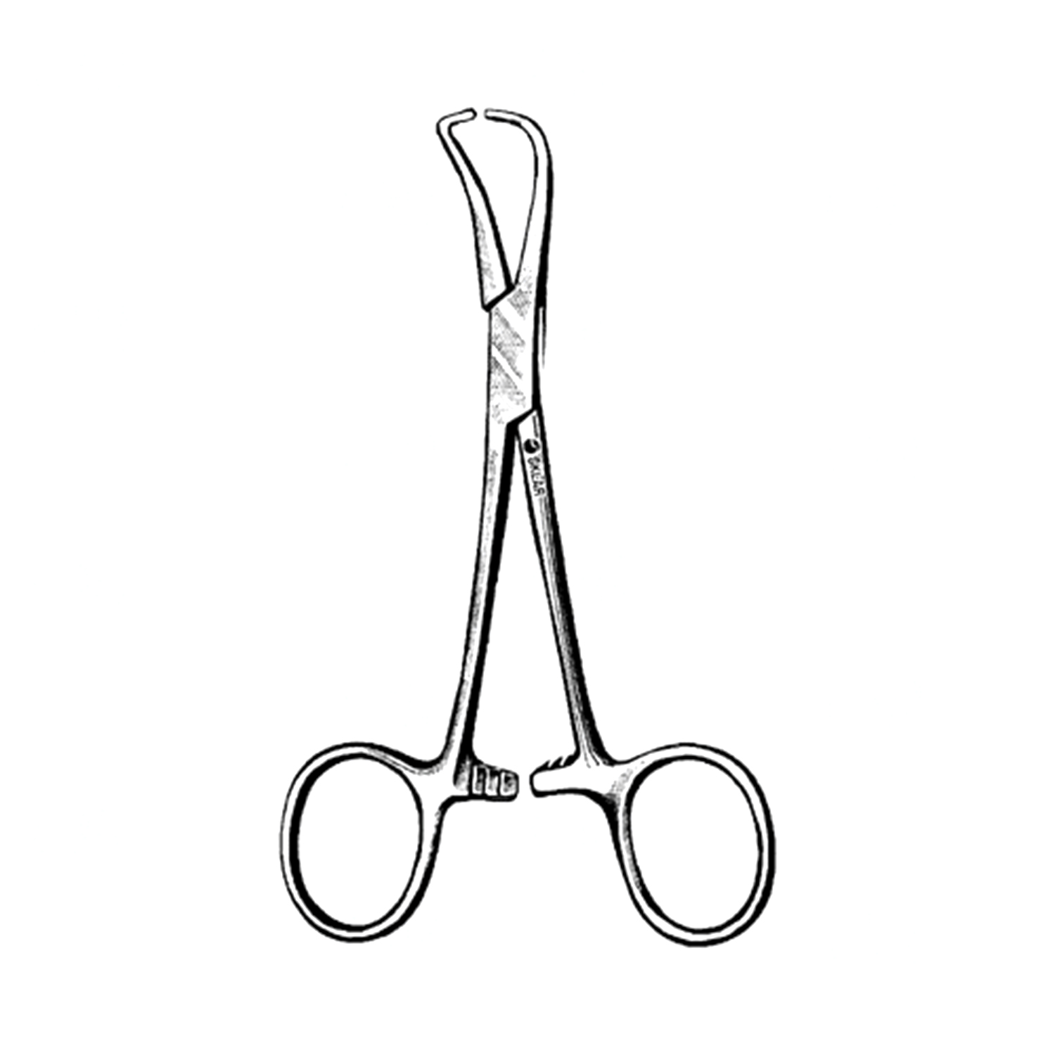 Sklar Textor Vasectomy Clamp