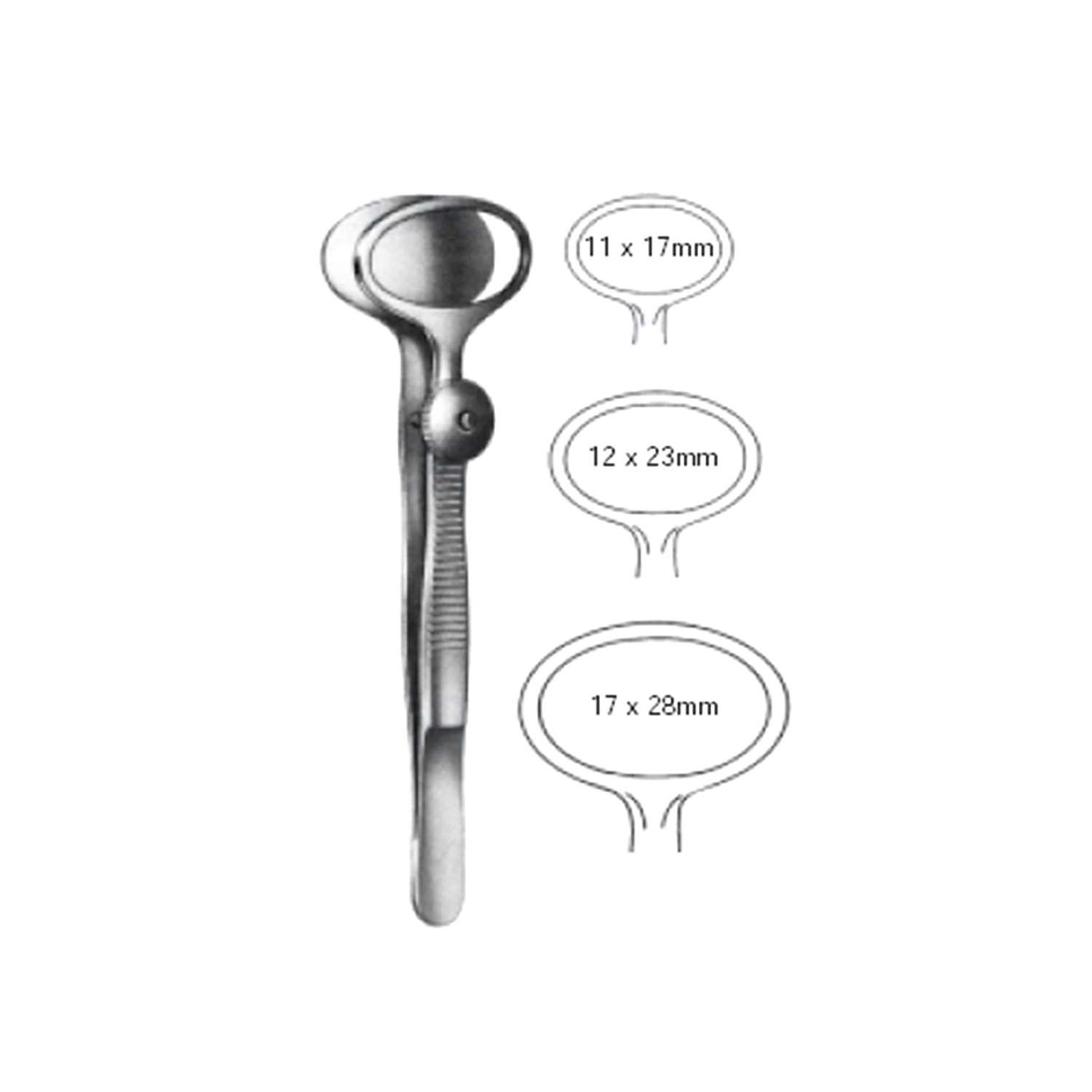 Marina Medical Desmarres Chalazion Clamps