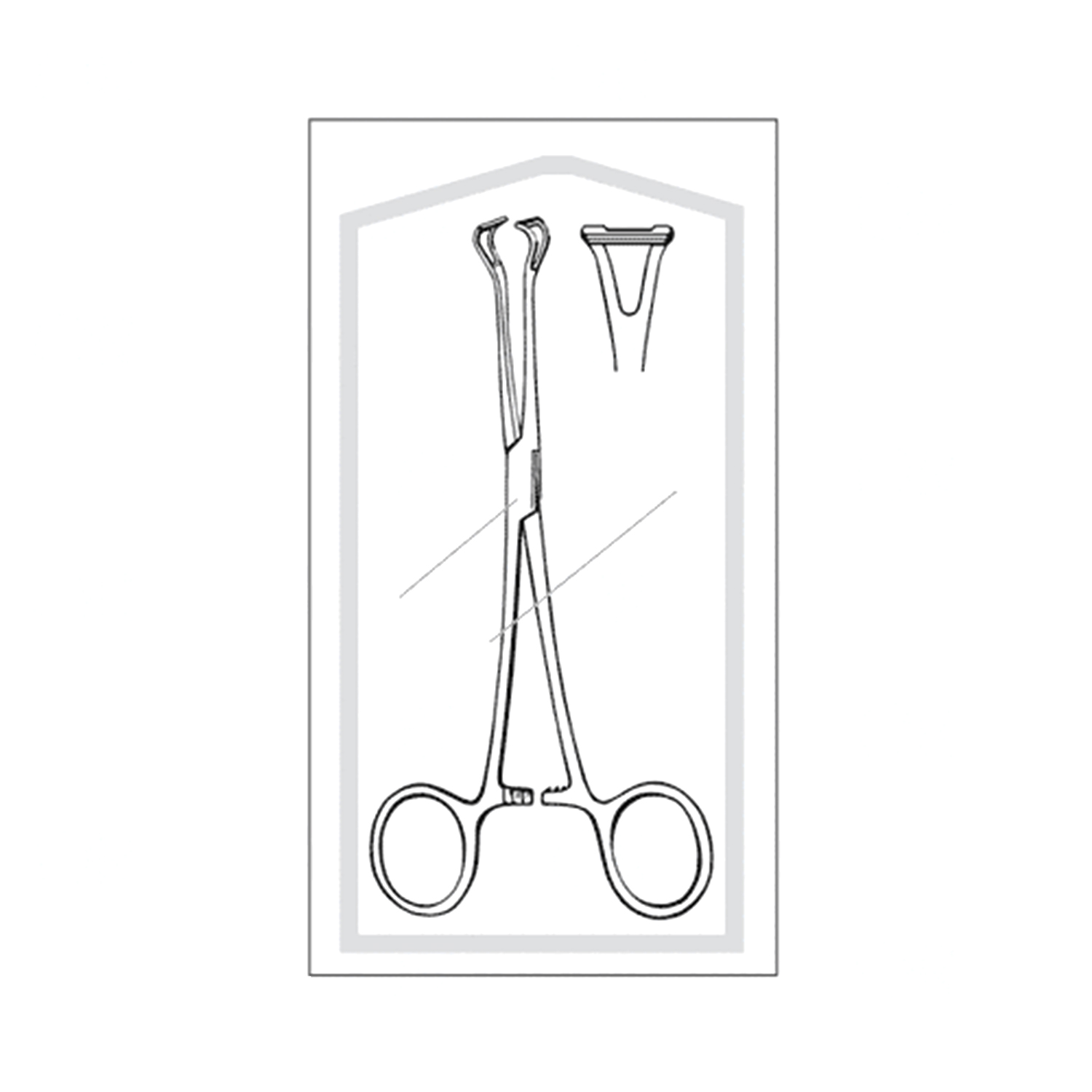 Sklar Econo Sterile Babcock Forceps