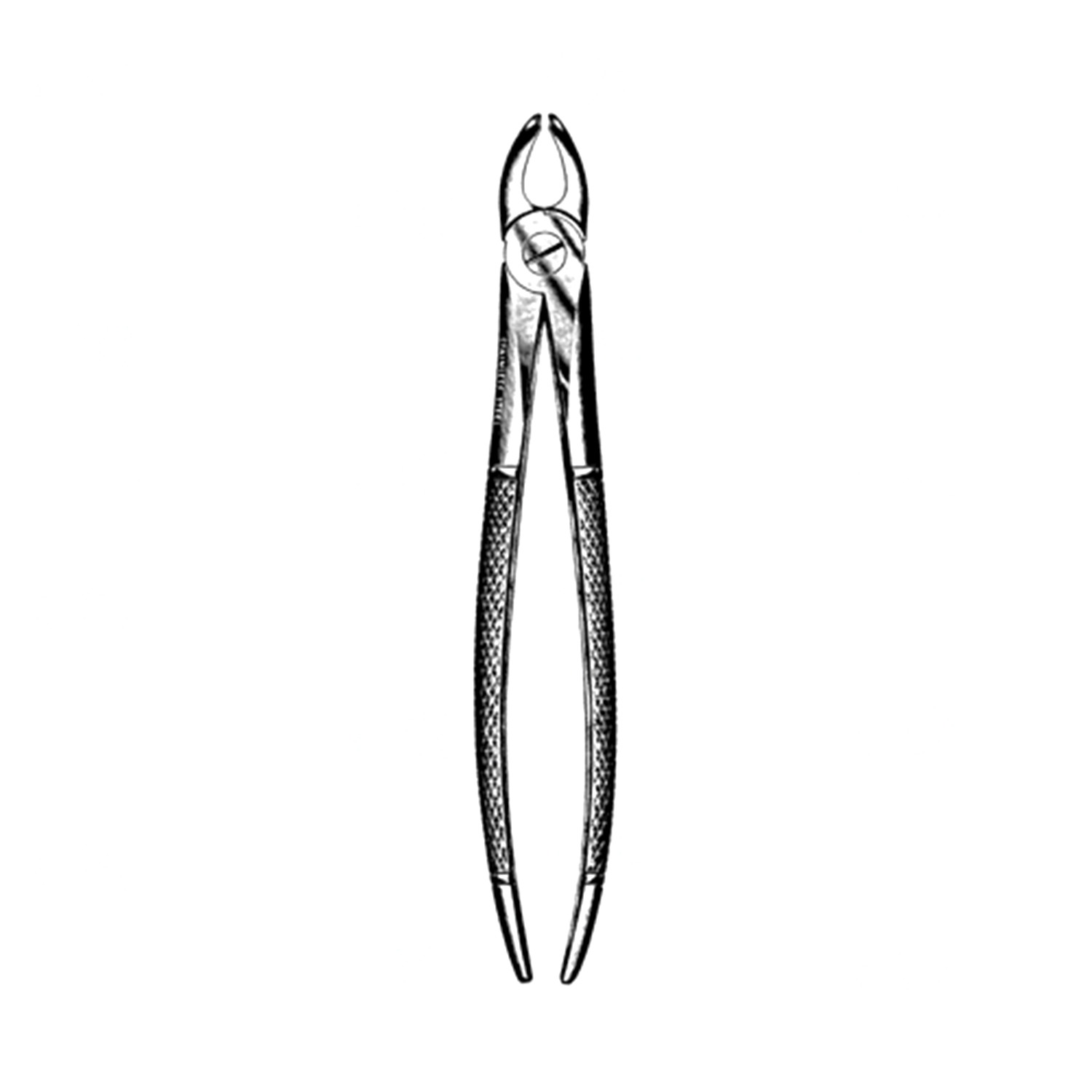 Sklar Extracting Forceps