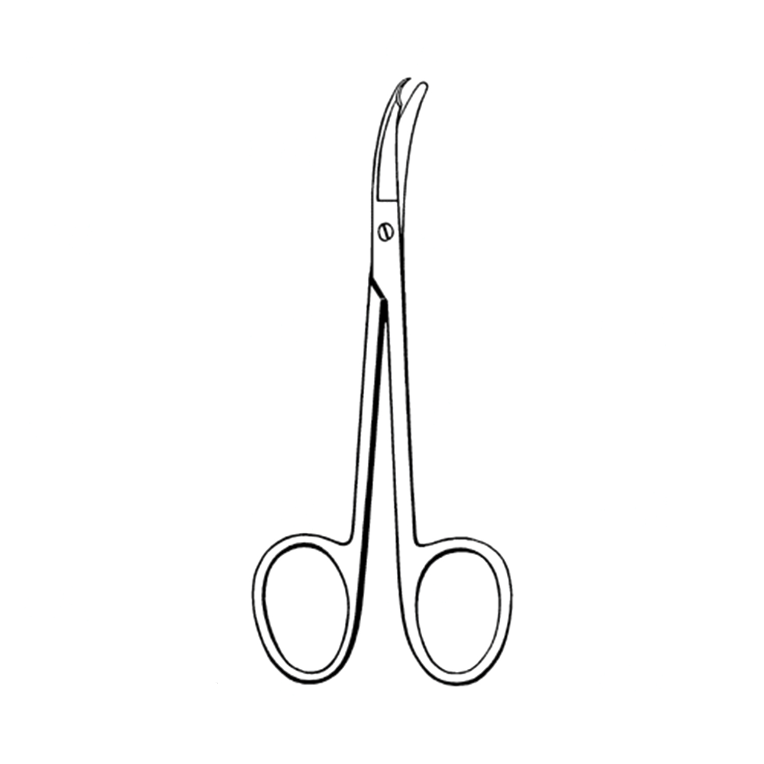 Sklar Econo Spencer Stitch Scissors (Box of 12)