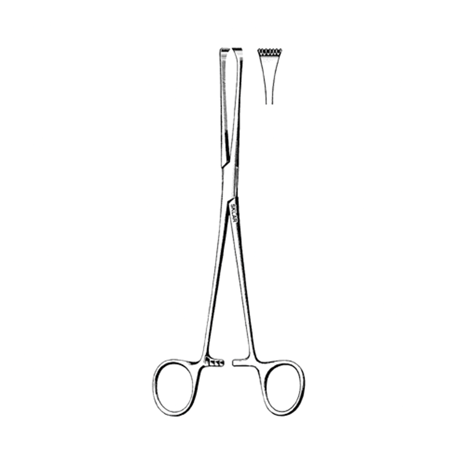 Sklar Allis-Thoms Forceps