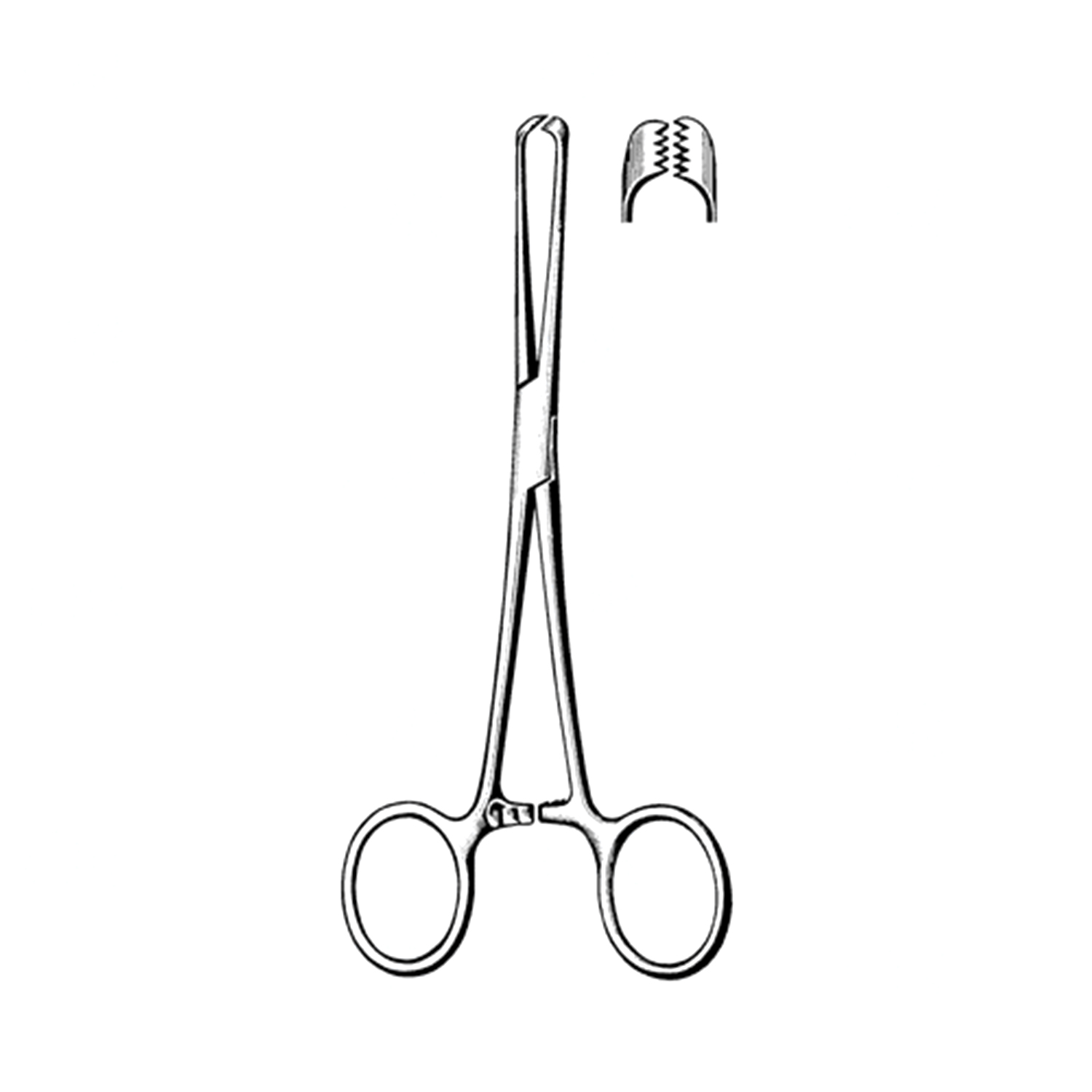 Sklar Surgi-OR Allis Tissue Forceps