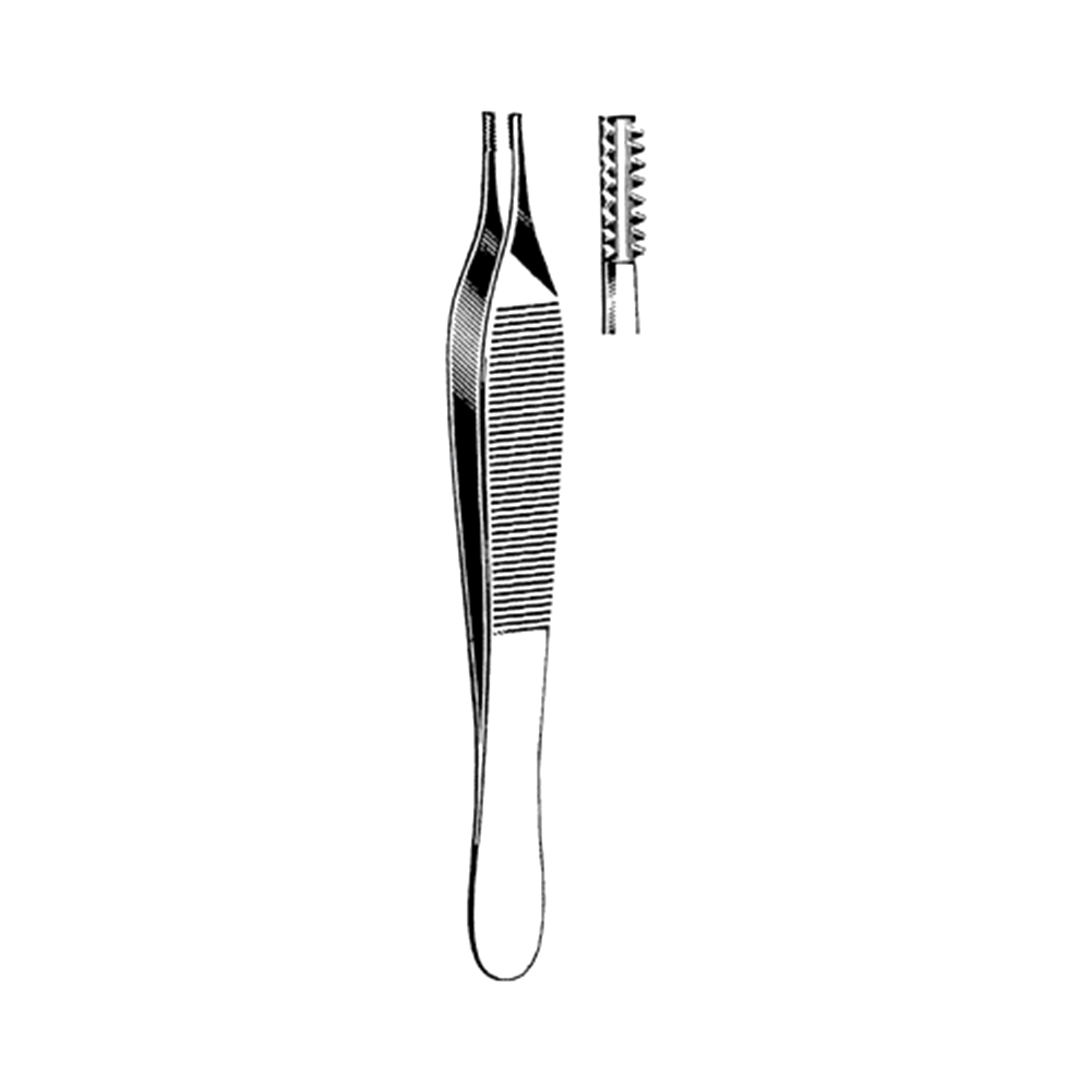 Sklar Econo Adson-Brown Tissue Forceps (Box of 12)