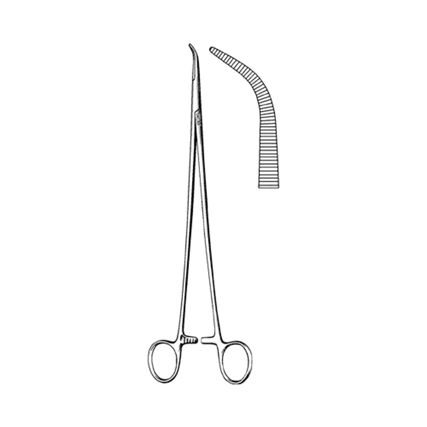 Sklar Lawrence Forceps Serrated 10 3/4