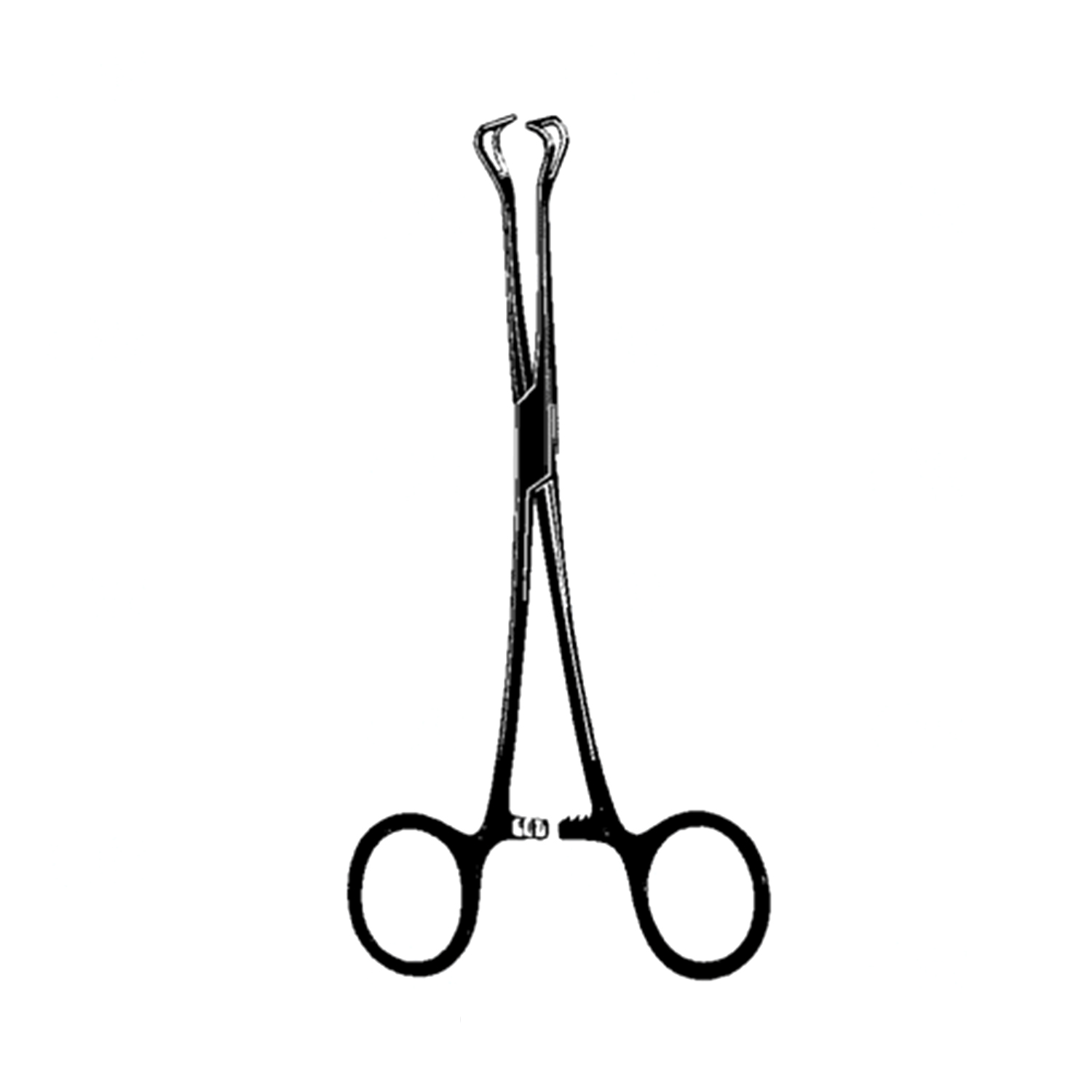 Sklar Black Babcock Forceps