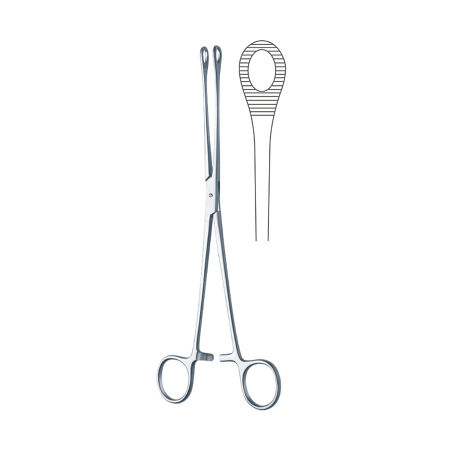 Marina Medical Bergmann Sponge Forceps