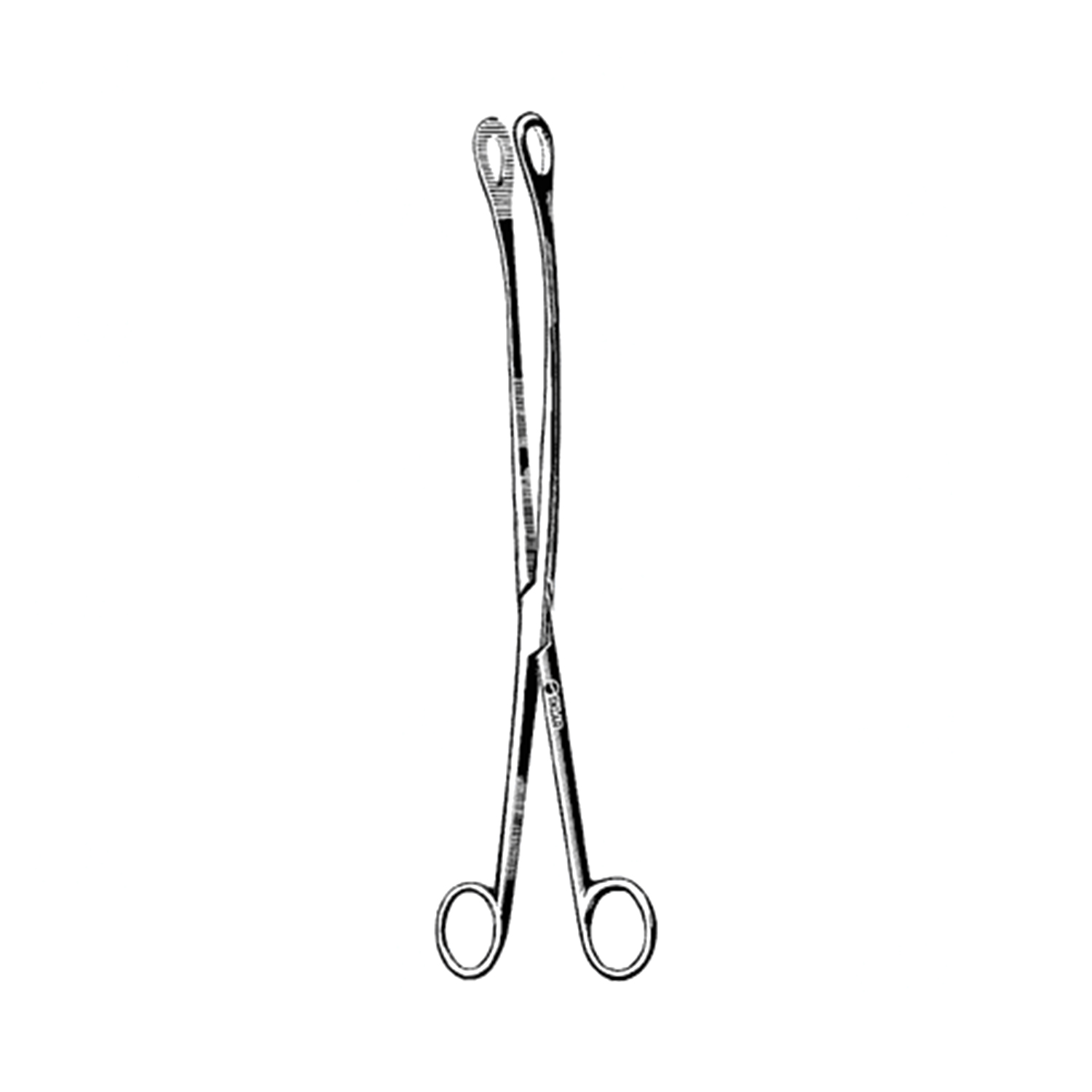 Sklar Kelly Placenta Forceps