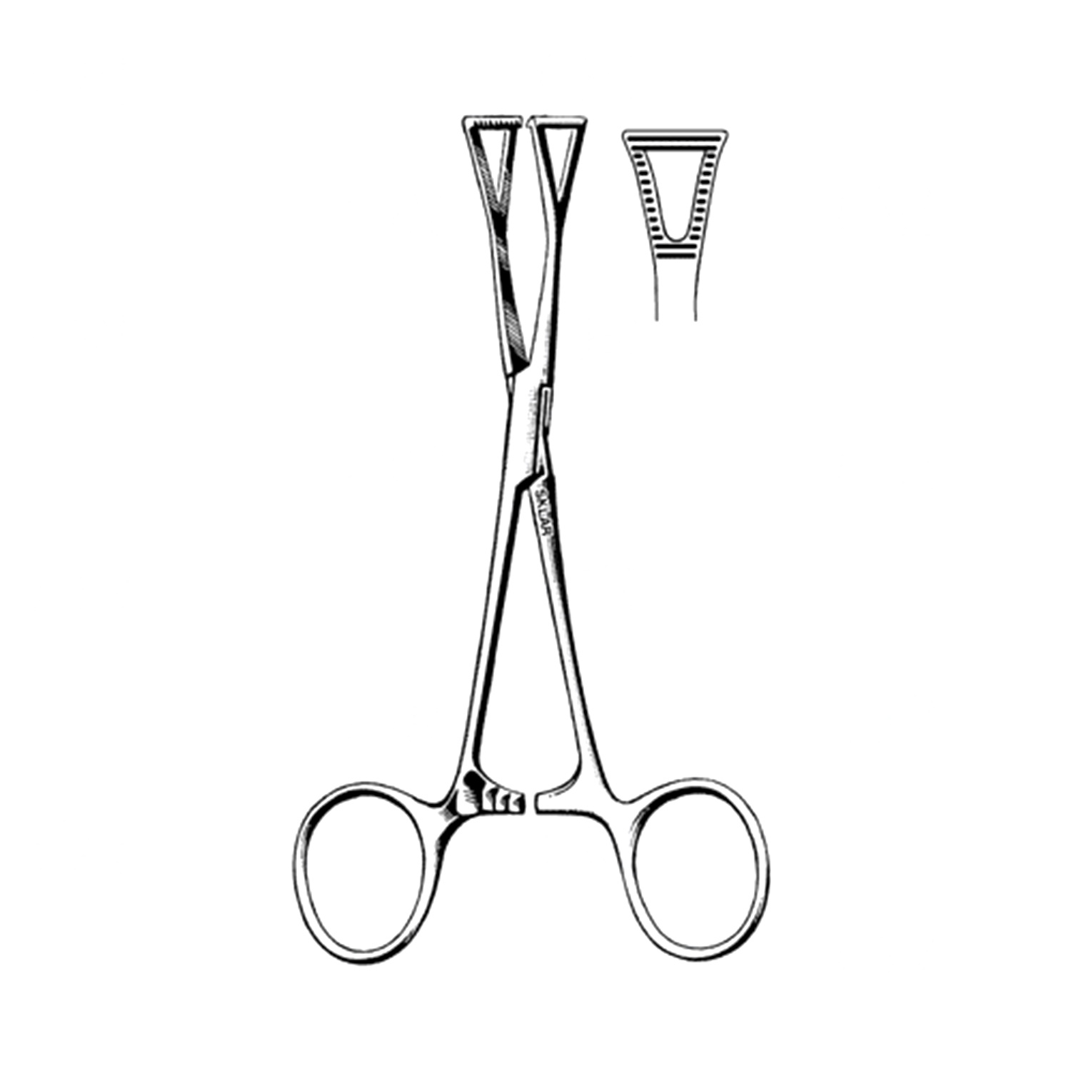 Sklar Duval Lung Forceps