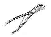 Surgical Shears