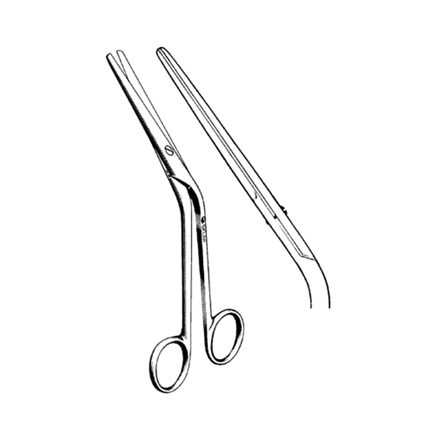 Sklar Cottle Dorsal Scissors