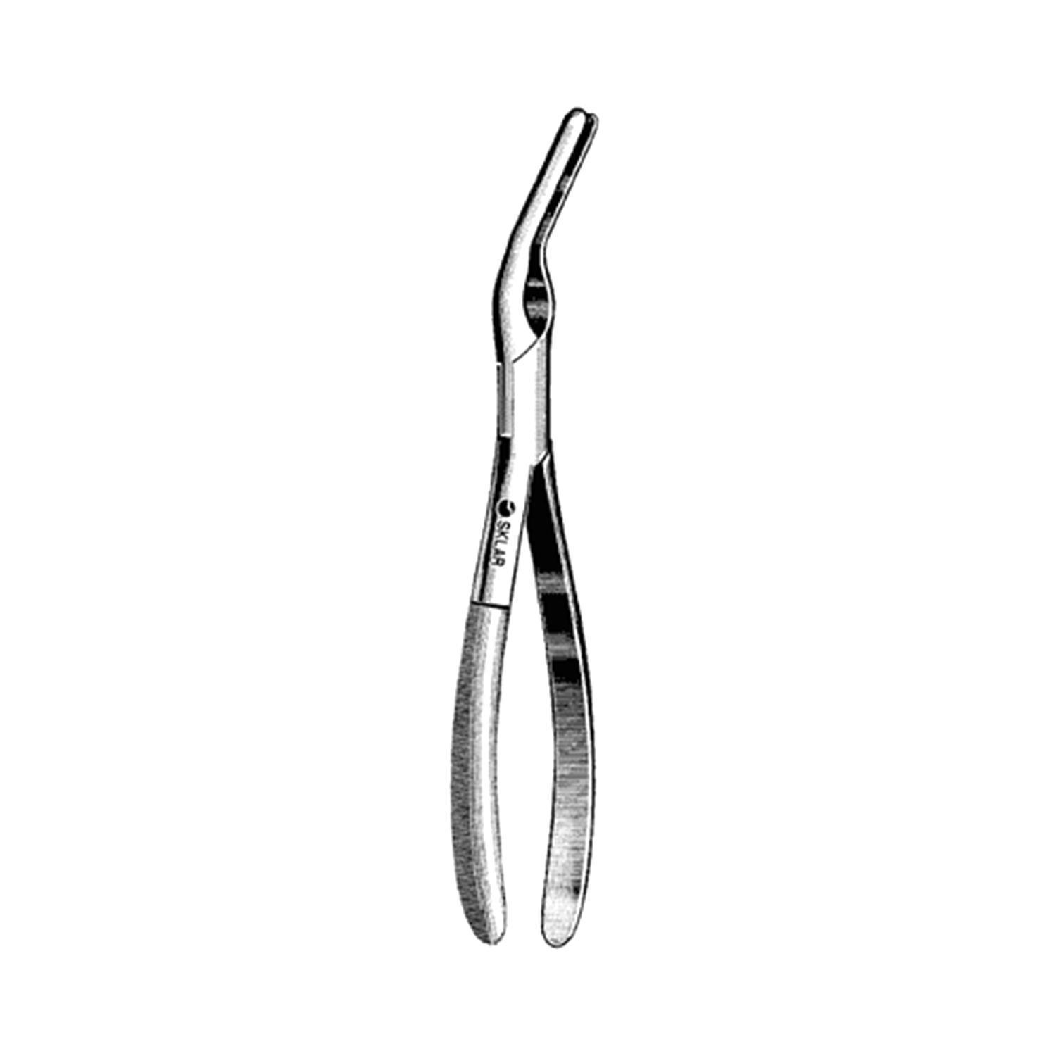 Sklar Ash Septum Straightening Forceps