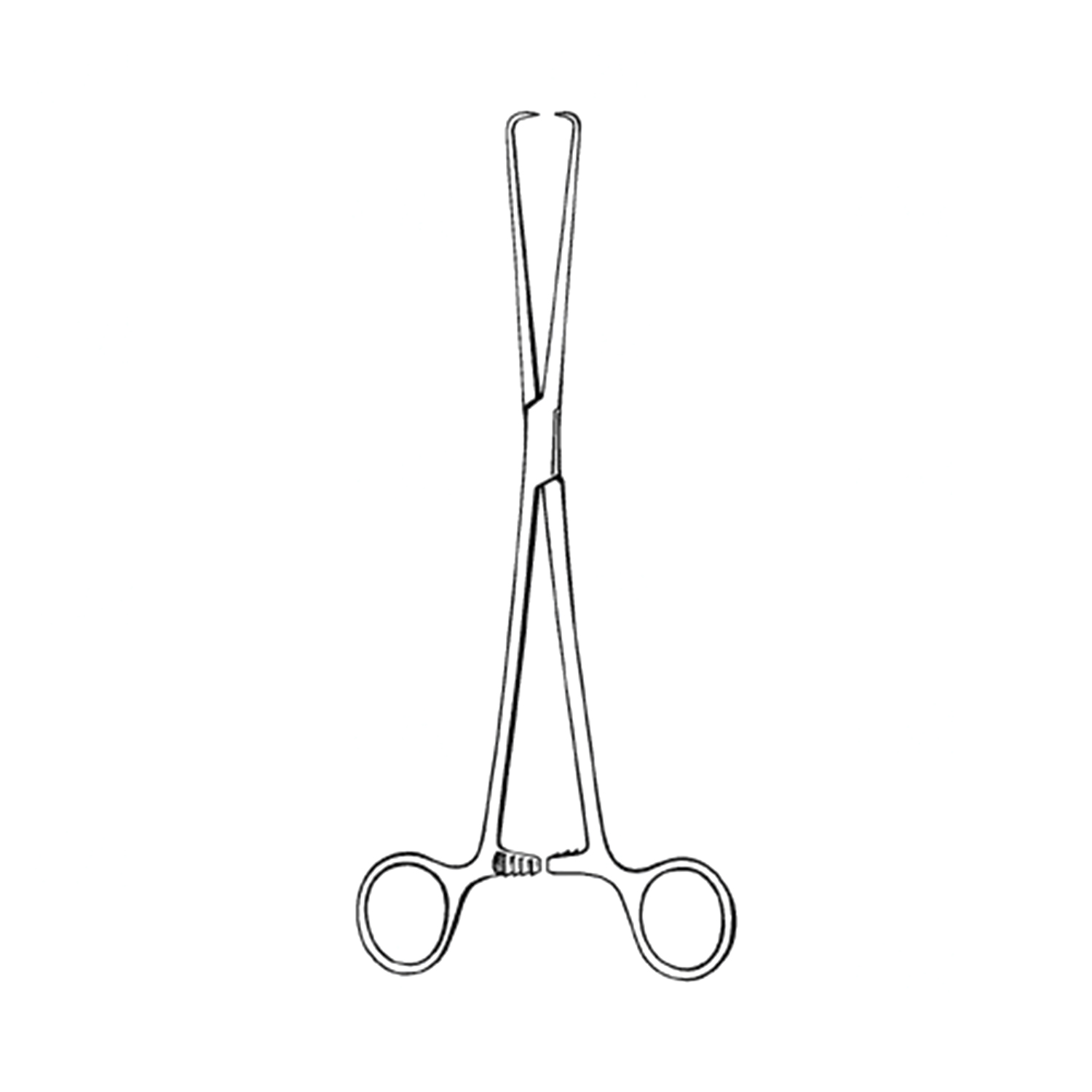 Sklar Econo Schroeder Tenaculum Forceps (Box of 12)