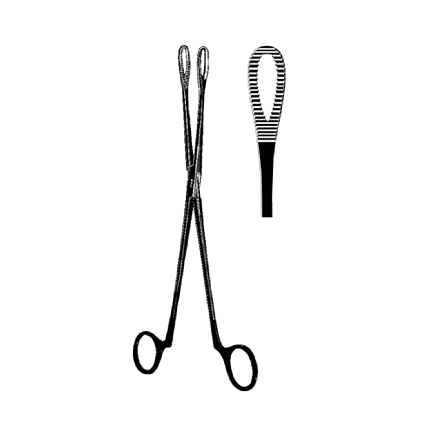 Sklar Black Clemetson Forceps