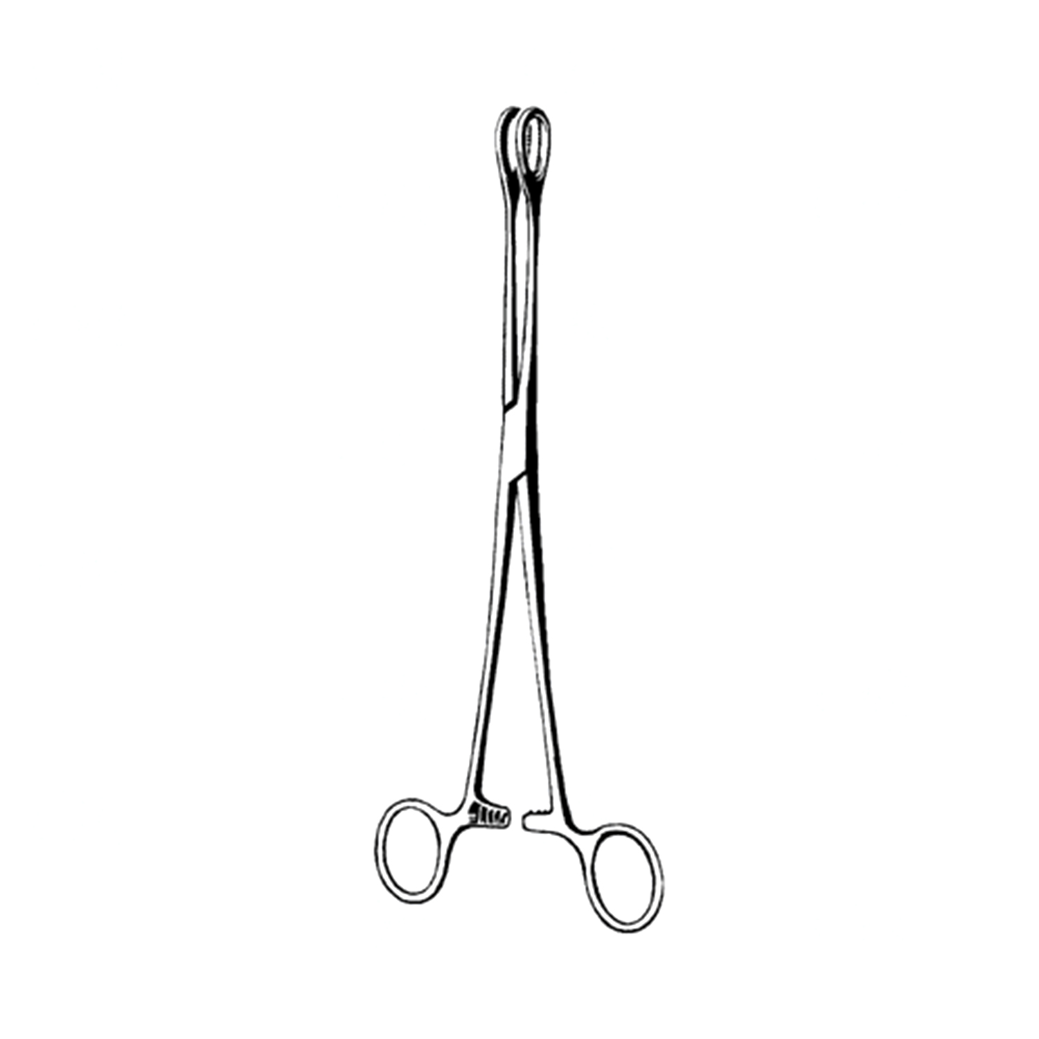 Sklar Econo Foerster Sponge Forceps